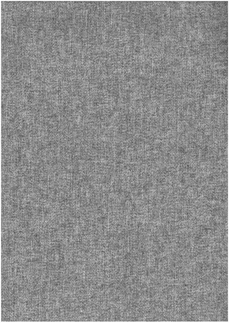Rive Gauche