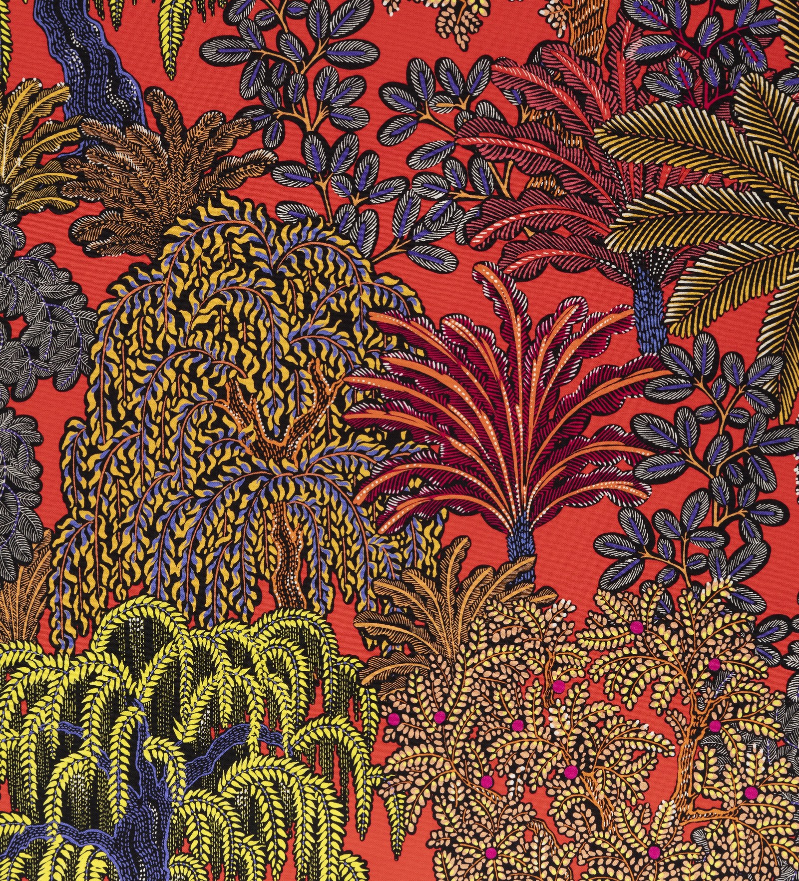 Majorelle