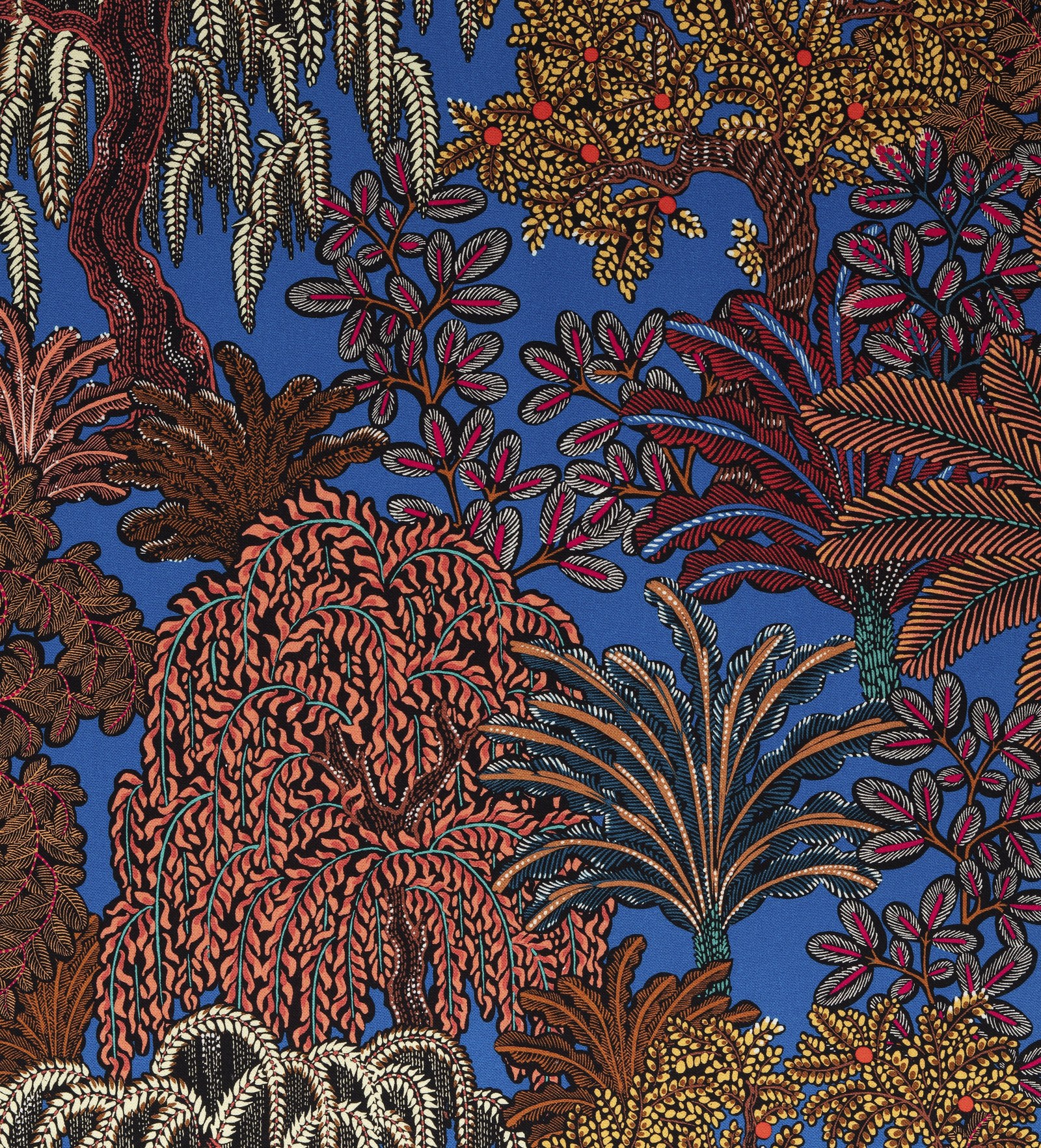 Majorelle