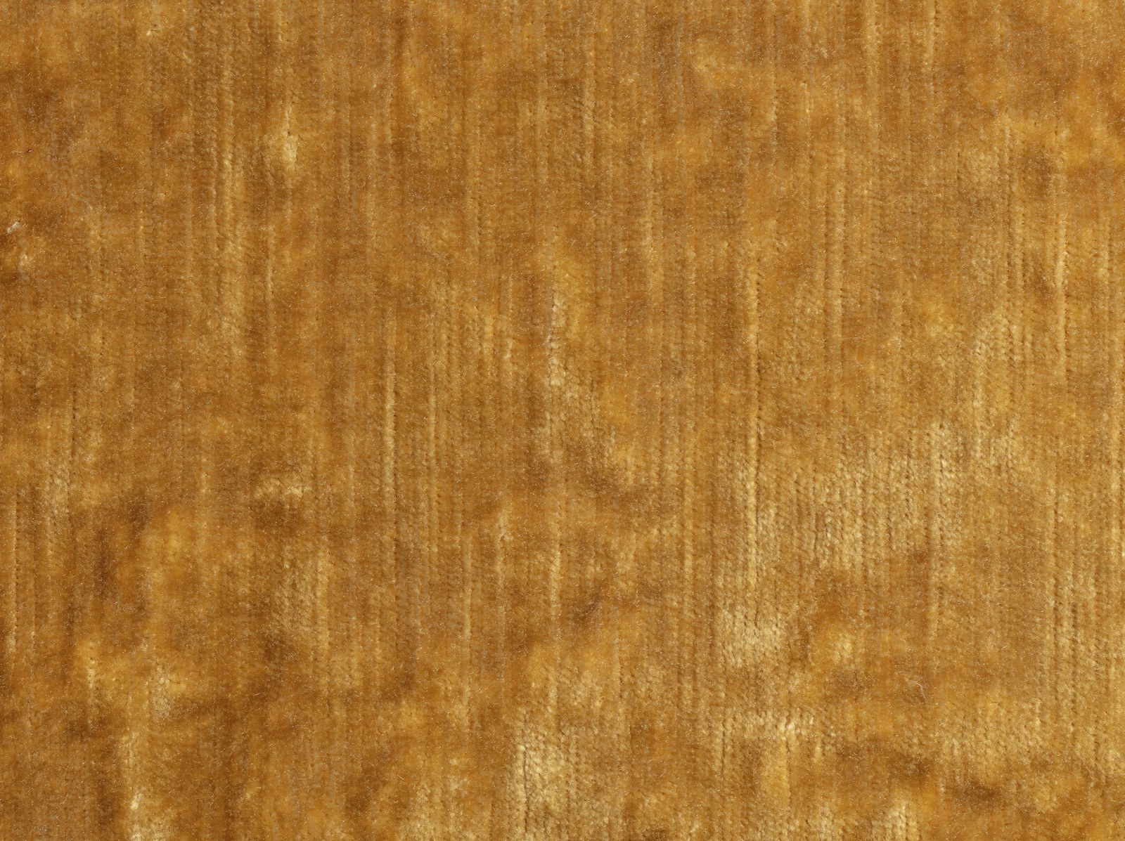 Louisiane Velvet