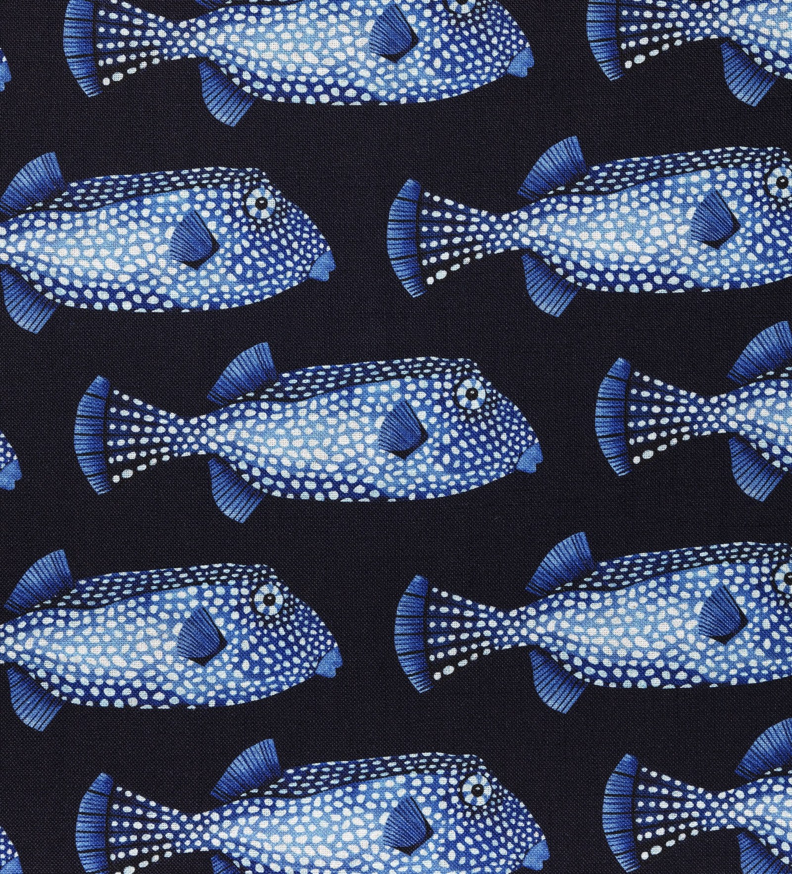 Poissons Coffre