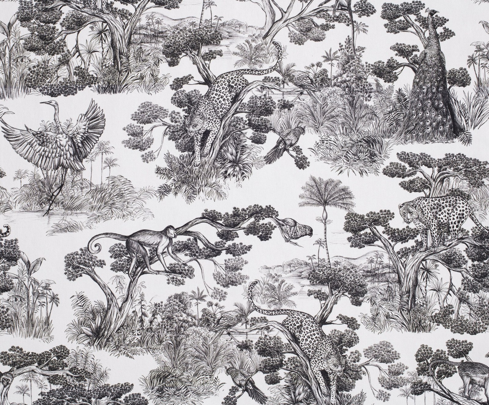 Animalia