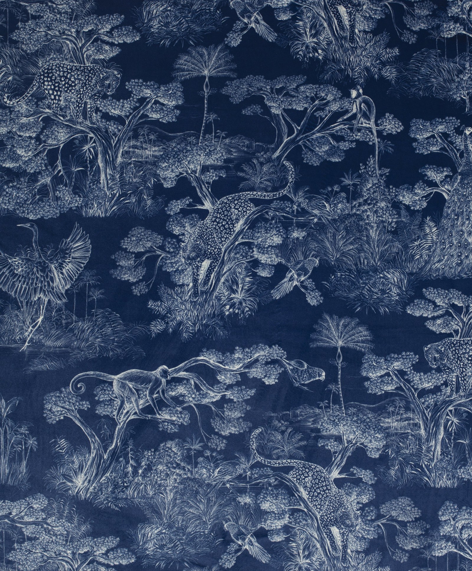 Animalia| Velours Velvet