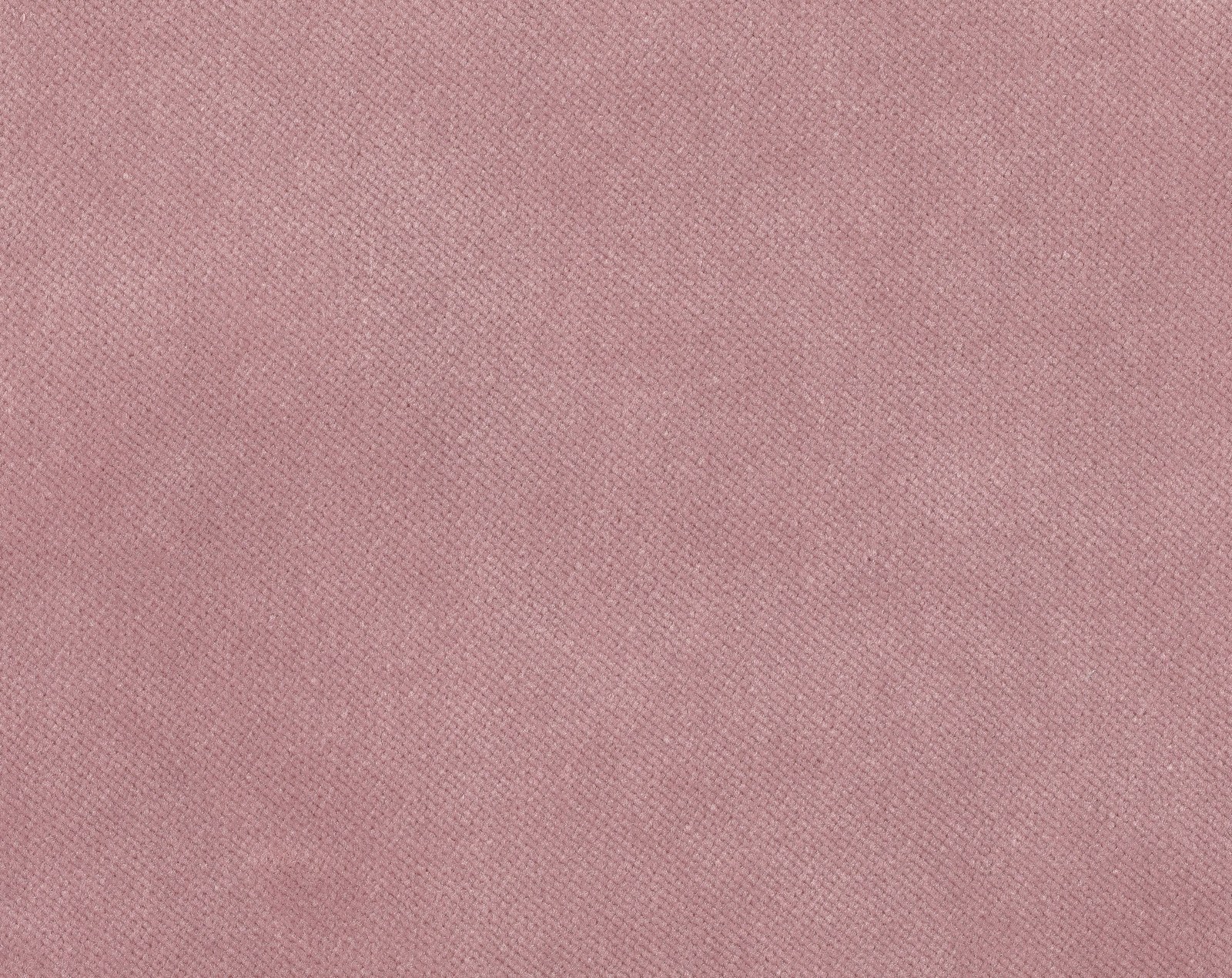 Plain Velvet