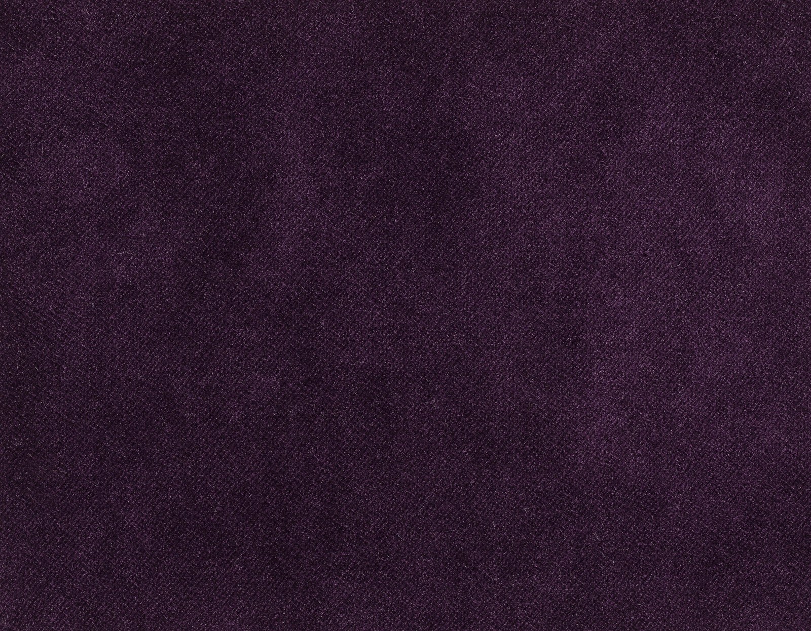 Plain Velvet