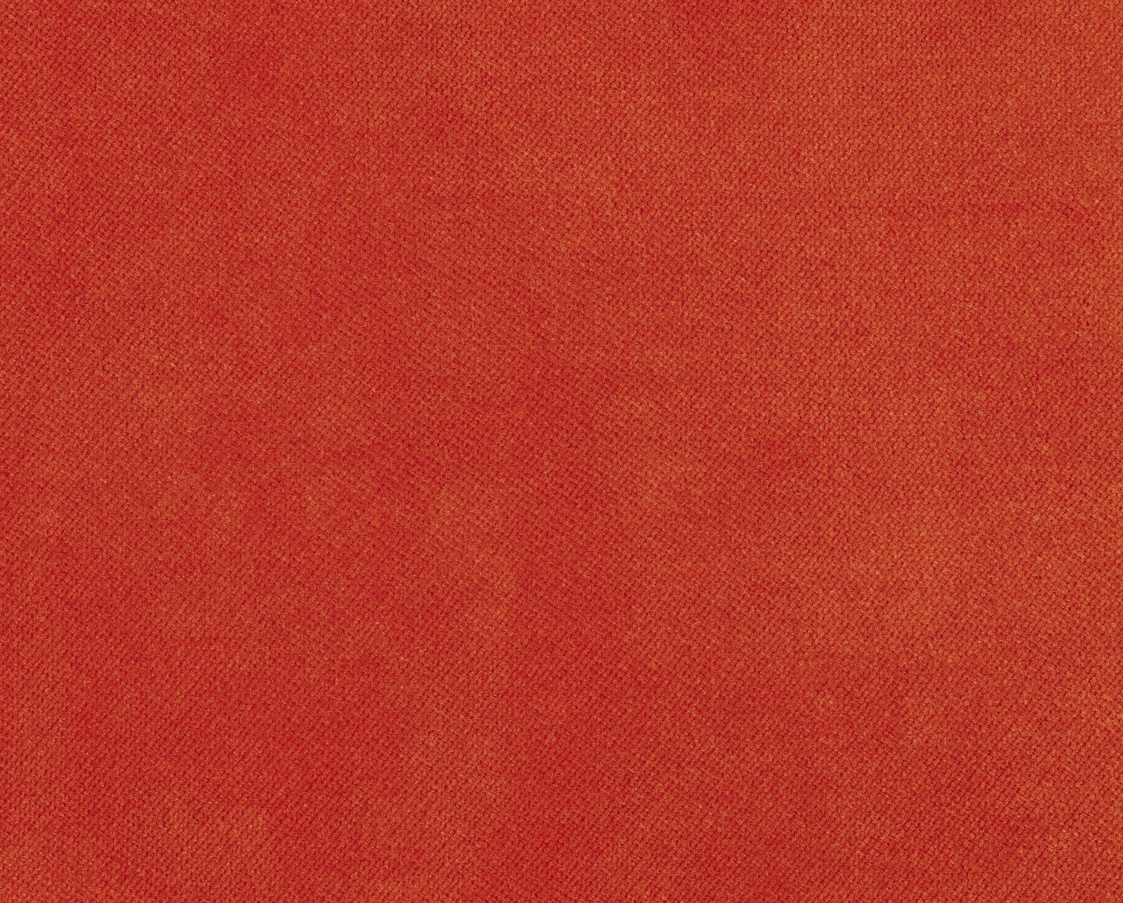 Plain Velvet