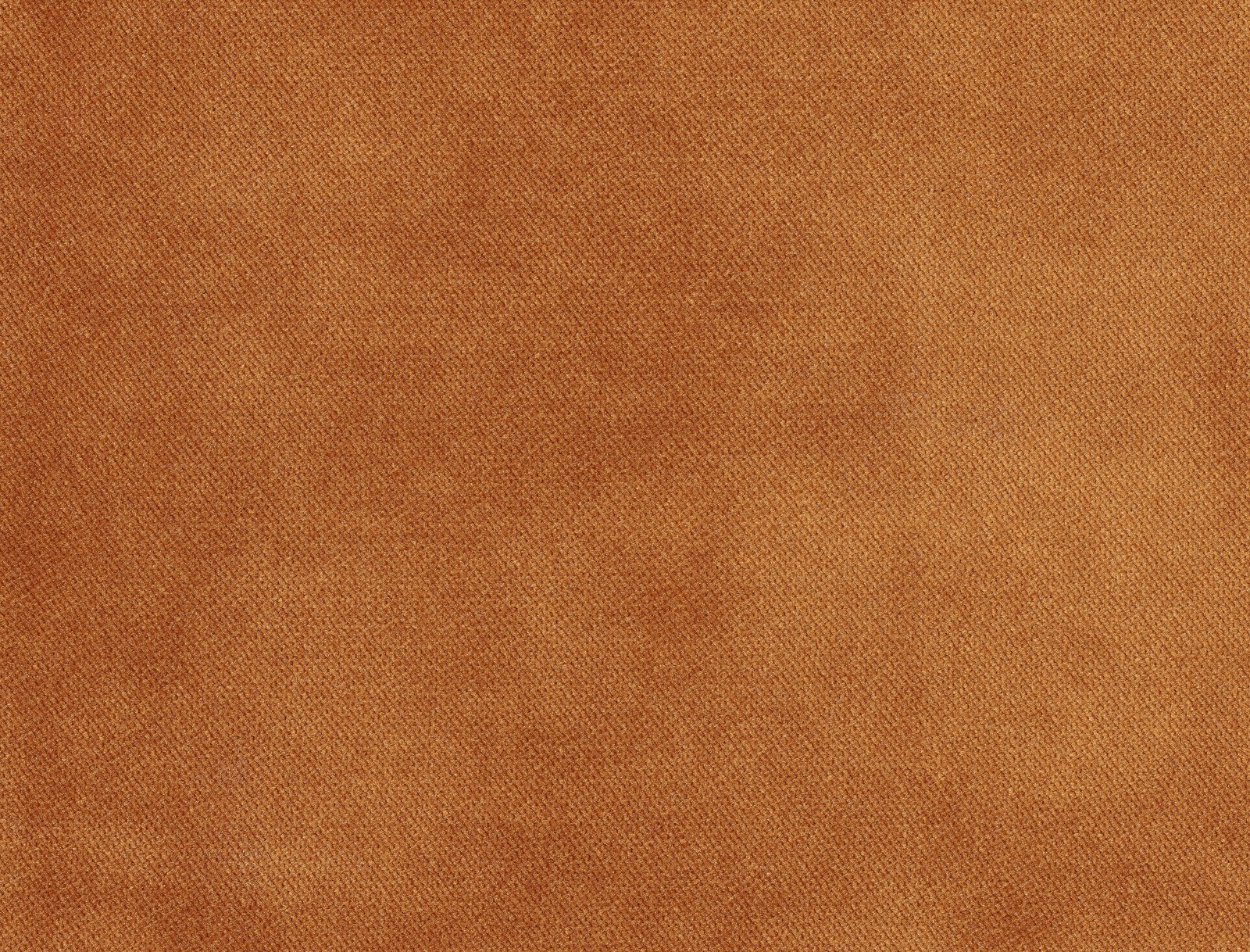 Plain Velvet
