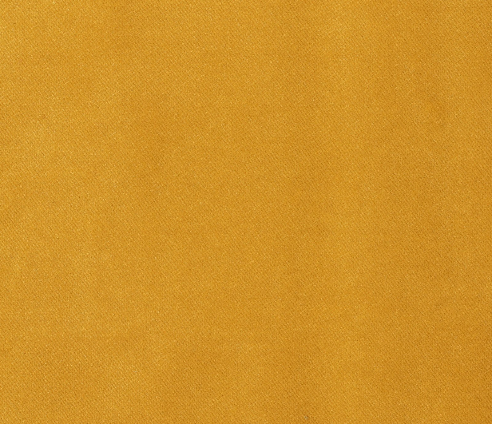 Plain Velvet
