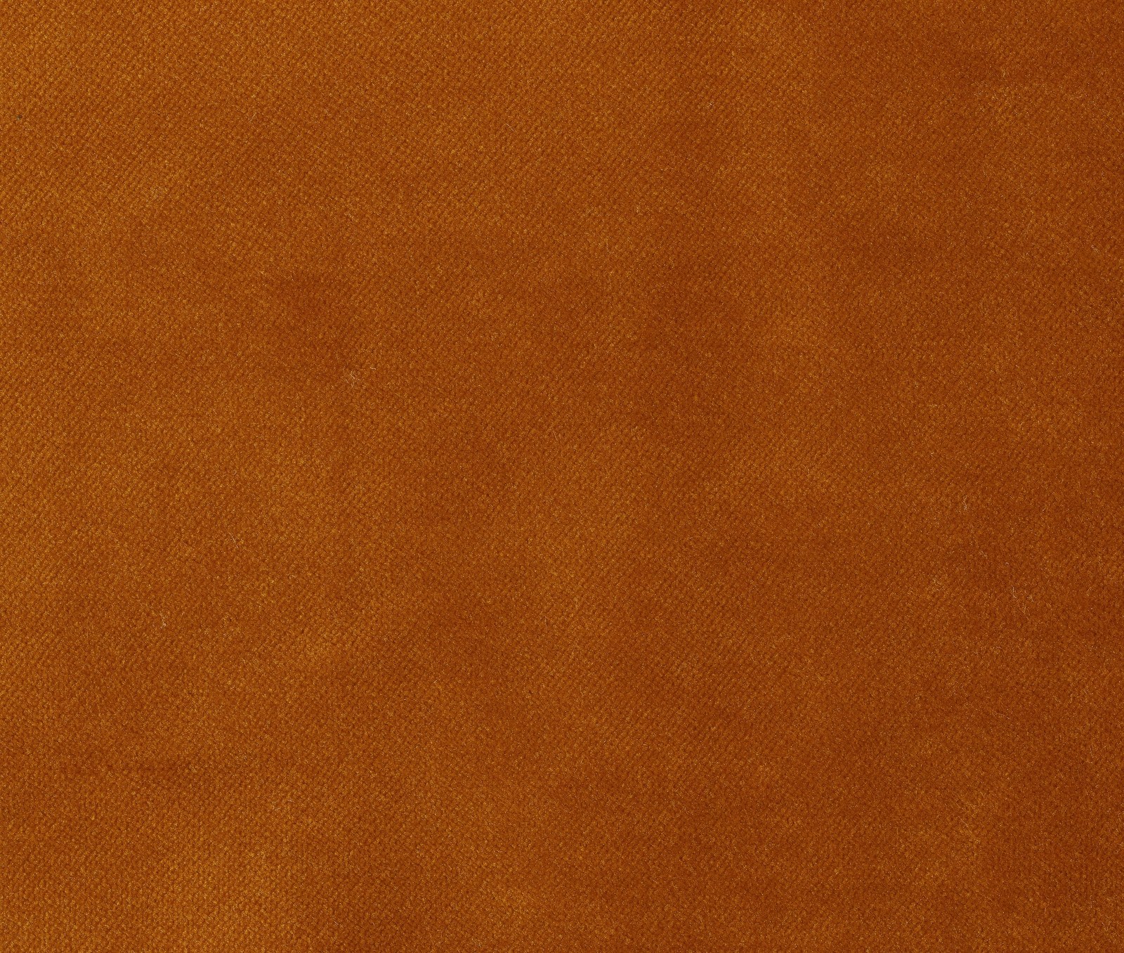 Plain Velvet