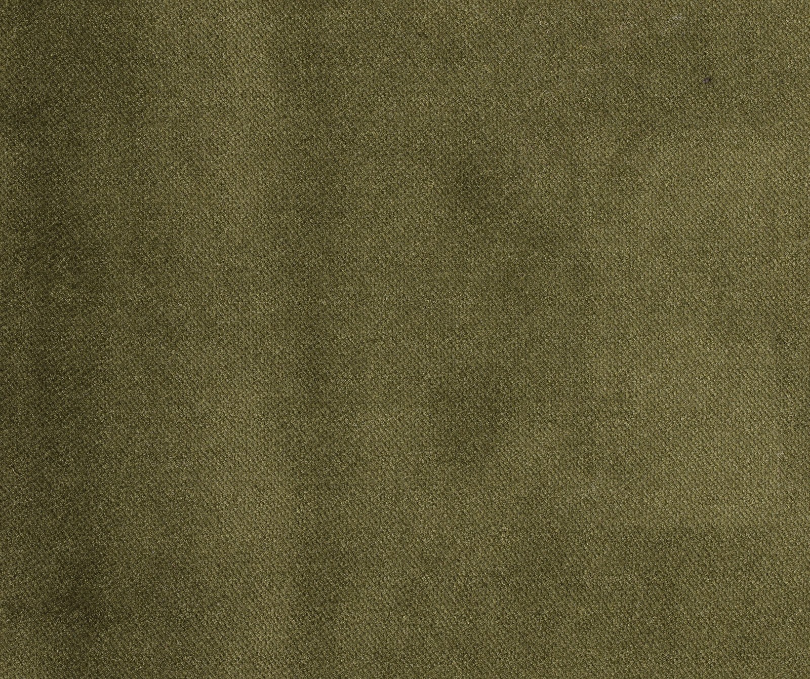 Plain Velvet