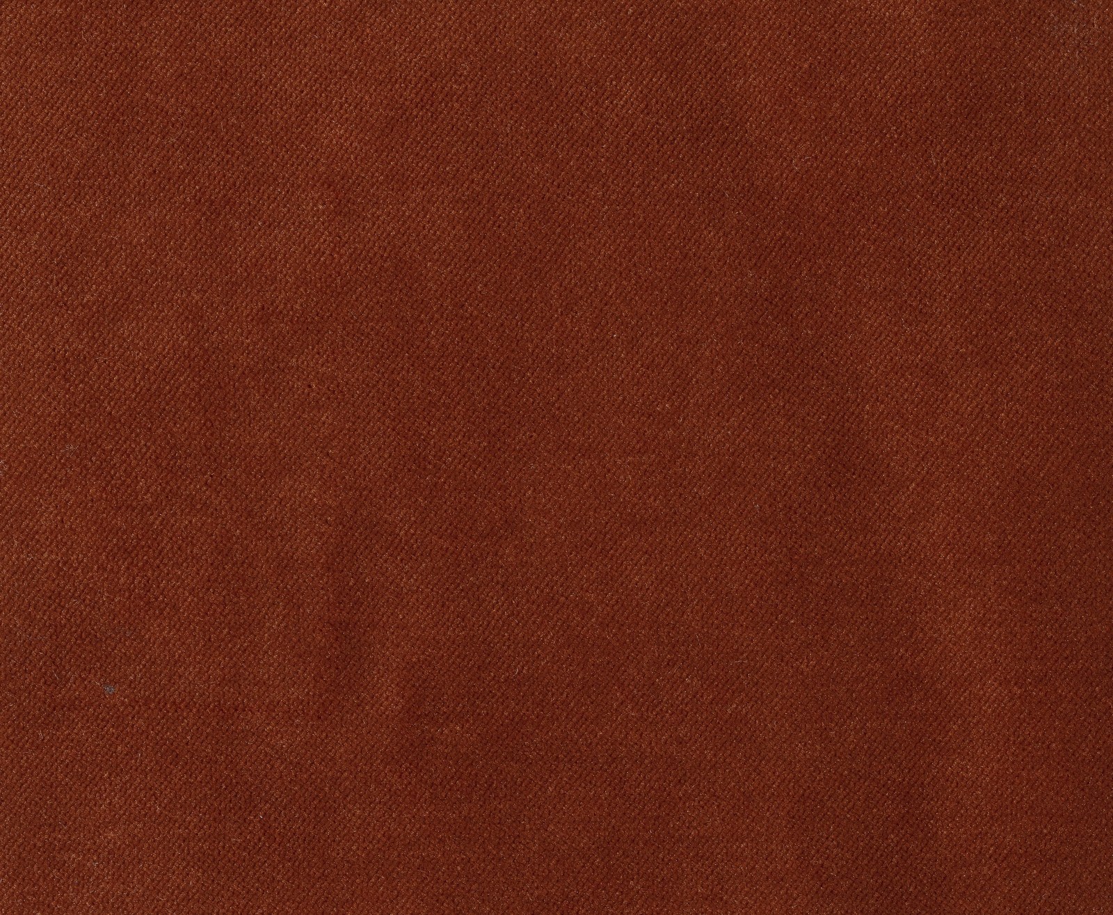 Plain Velvet