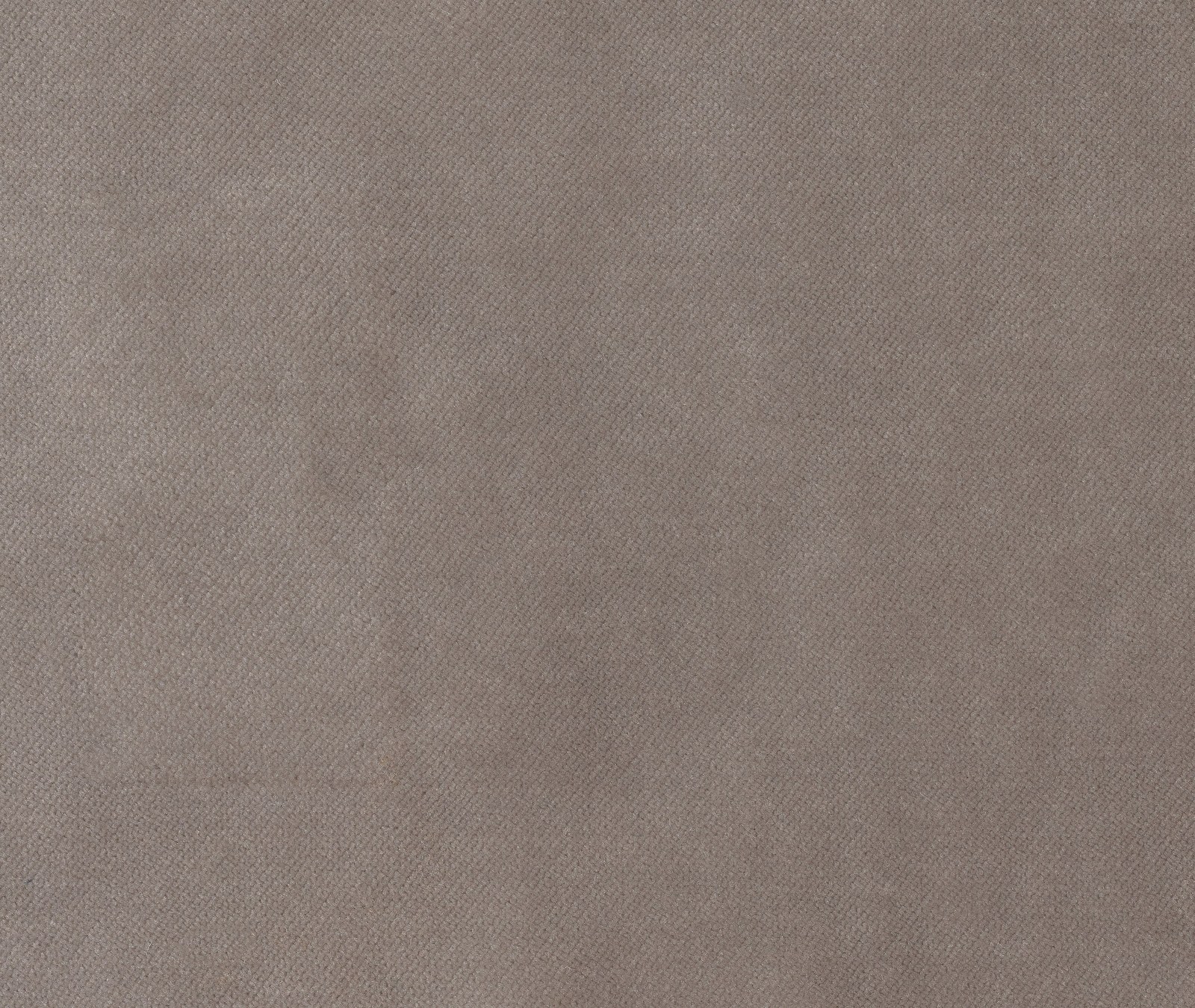 Plain Velvet