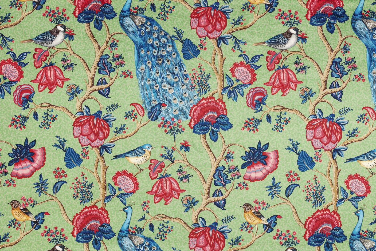 Alexandra| Velours Velvet