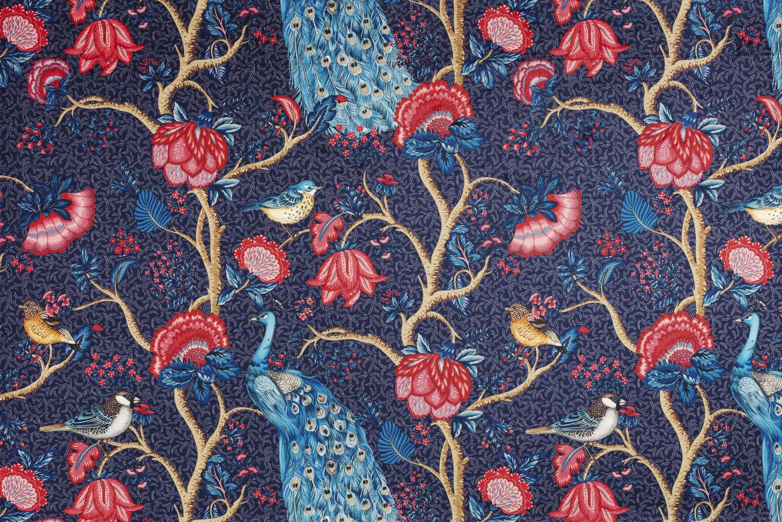 Alexandra| Velours Velvet
