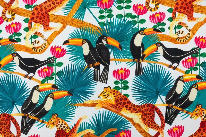 Toucans