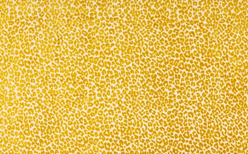 Bagheera Jacquard