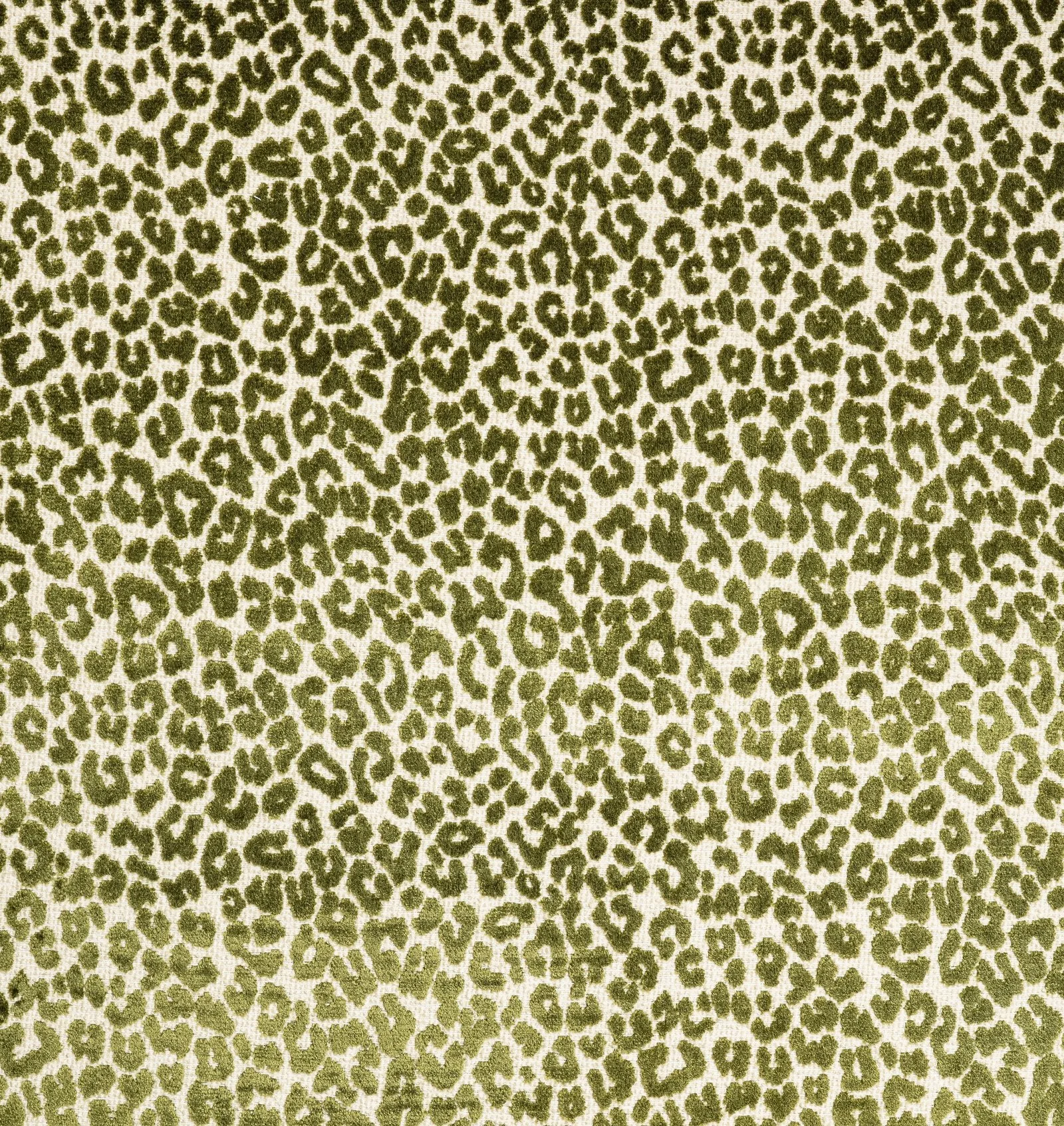 Bagheera Jacquard