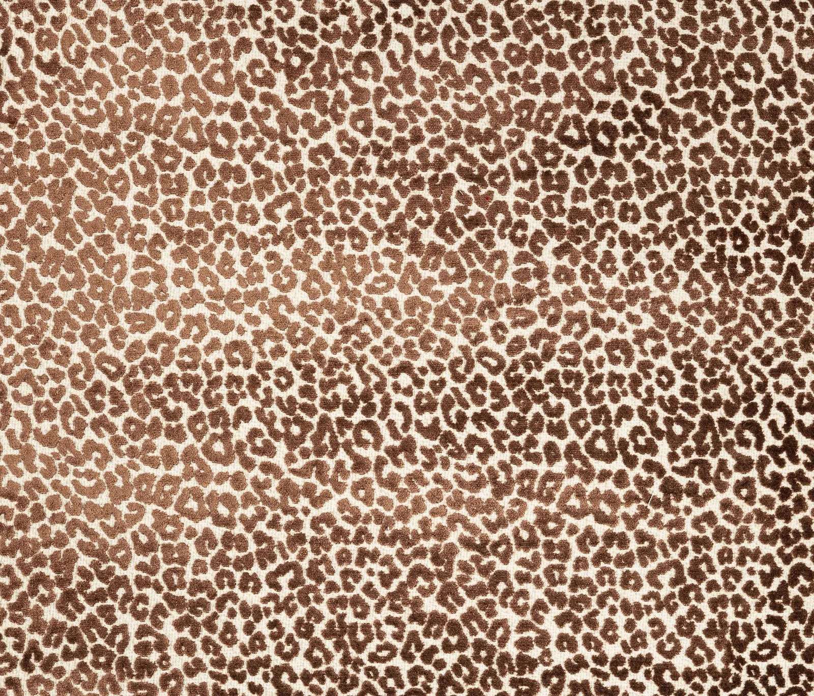 Bagheera Jacquard