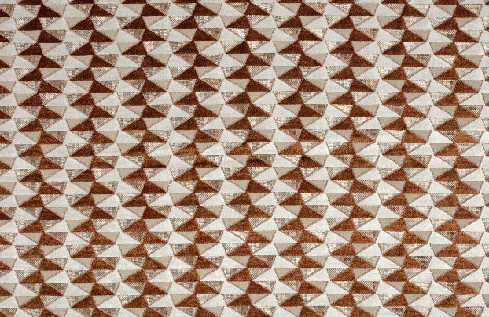 Charlotte Jacquard