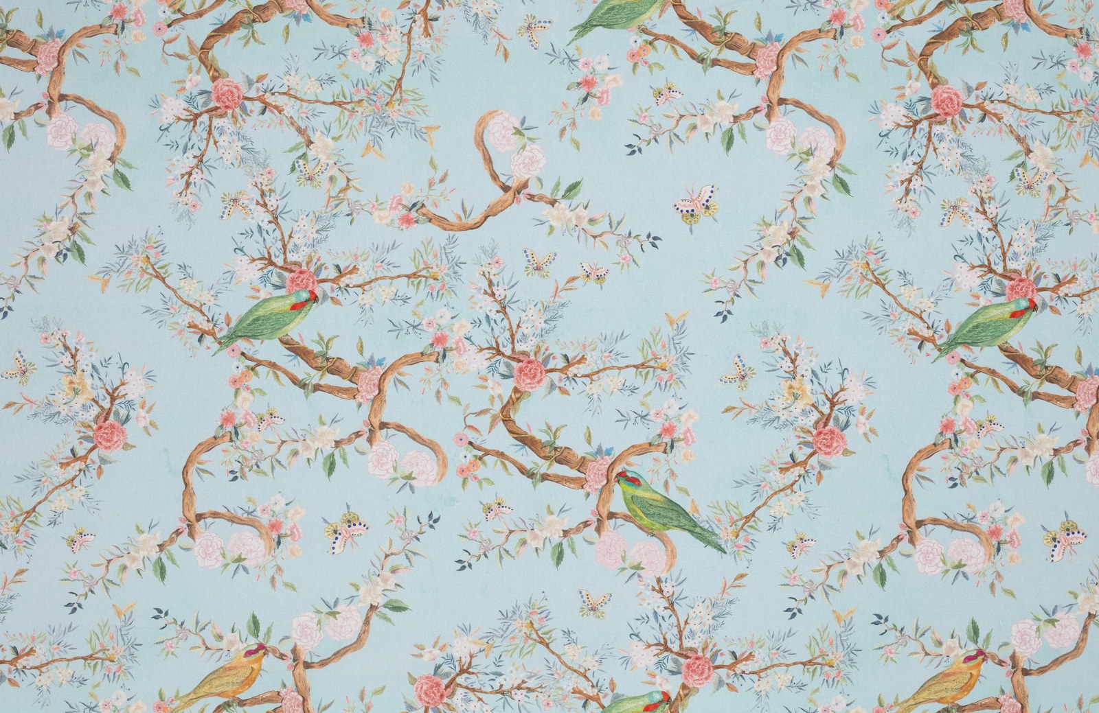 Birds Fond bleu